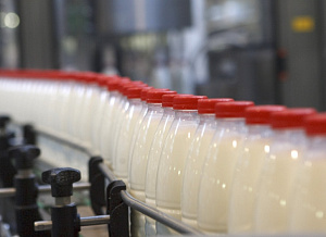Потребитель будет знать о наличии в молочной продукции пальмового масла